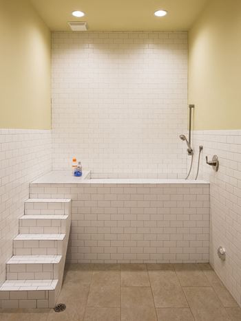 Pet-friendly living with indoor pet spa